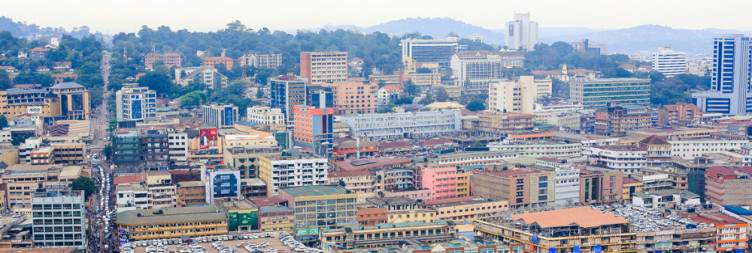 Chimp Trekking & Transfer to Kampala