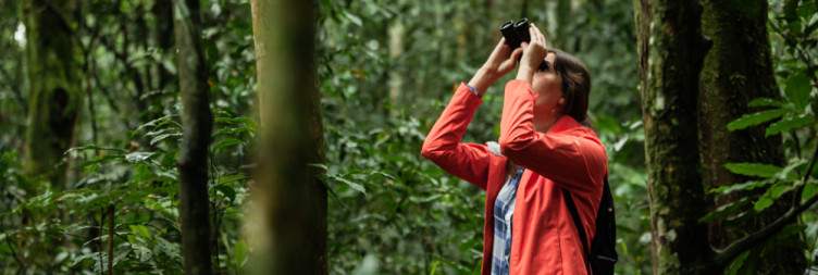 Morning chimp trekking-Bigodi swamp walk