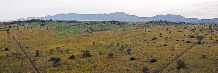 Transfer to Kidepo Valley National Park