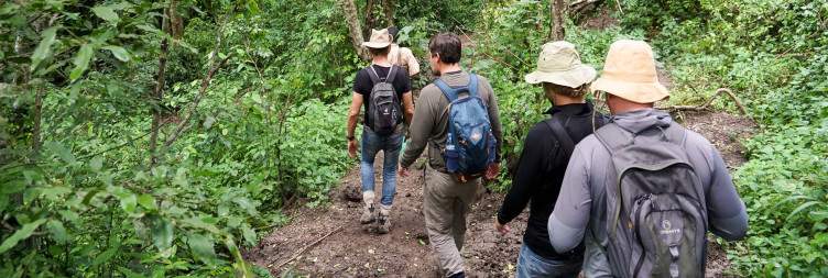 Chimpazee Tracking in Kyambura Gorge, Transfer to Lake Mburo National Park