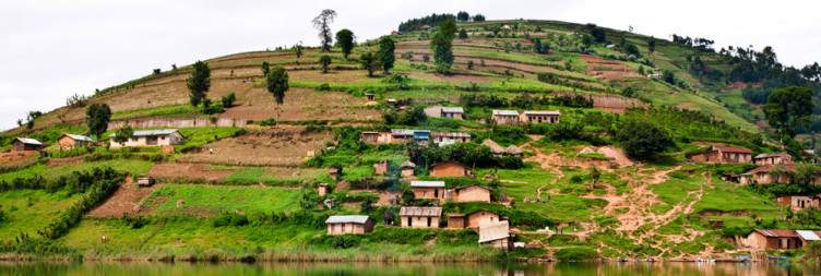 Gorilla Trekking and Transfer to Lake Bunyonyi