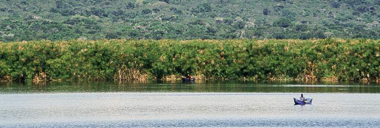 Transfer to Lake Mburo National Park with an Evening Game Drive in the Park