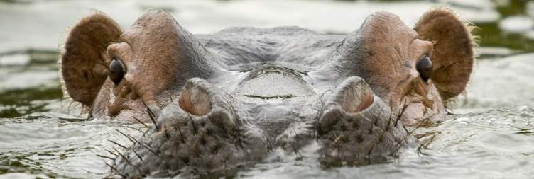 Queen Elizabeth National Park - Lake Mburo Natinal Park
