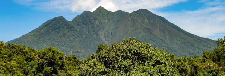 Transfer to Mgahinga National Park