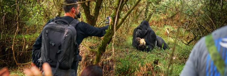 Gorilla Trekking and Batwa Exploration