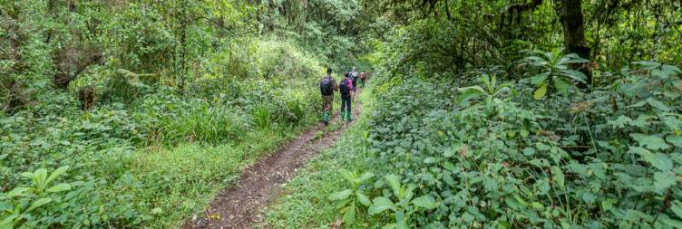 Bushiyi Trailhead to Dubi Camp