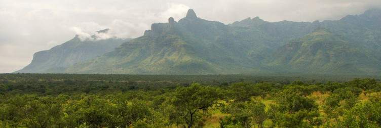 Visit the traditional cattle market and Transfer to Moroto