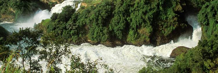 Rhino Tracking at Ziwa Rhino Sanctuary and top of the falls