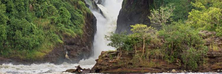 Entebbe - Murchison Falls National Park