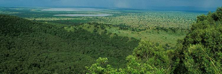 Transfer to Queen Elizabeth National Park - Relax in the Evening