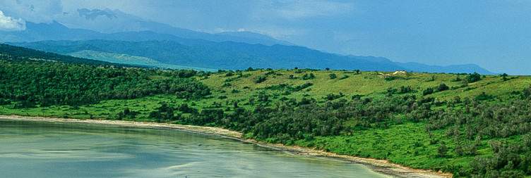 Game Drive and Boat Safari in Queen Elizabeth National Park