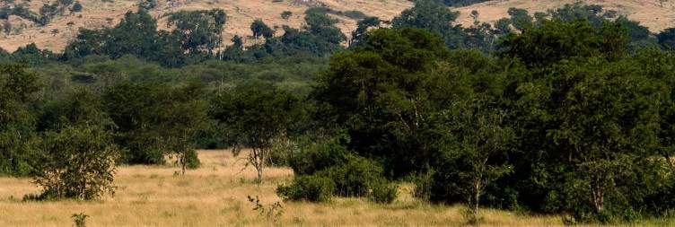 Park Game Drive & Boat Safari