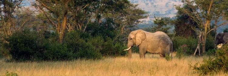 Drive to Queen Elizabeth National Park