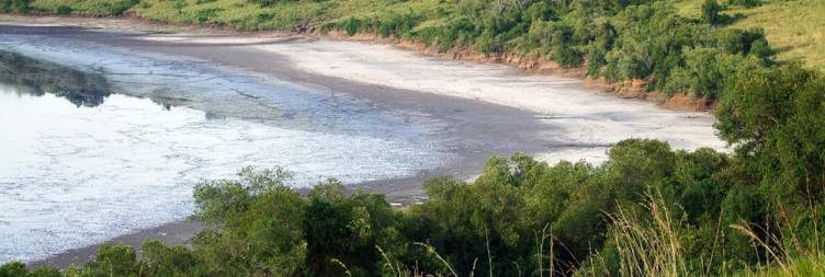 Transfer to Queen Elizabeth National park - Community Immersion at Lake Katwe Salt Lake