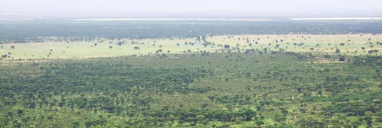 Pick up from Entebbe and drive to Queen Elizabeth National Park