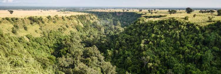 Transfer to Queen Elizabeth National Park