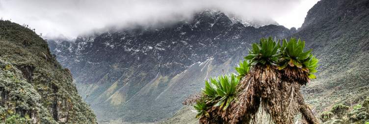 Depart from Nyabitaba hut (2650 m) – arrive at John Matte hut