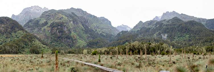 Rwenzori Mount Nature walk (Nyakarengija-Nyabitaba camp)