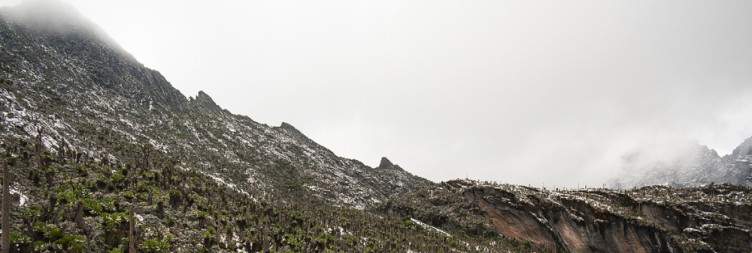 Transfer to Mihunga gate 1651m asl-Nyabitaba camp 2651m asl