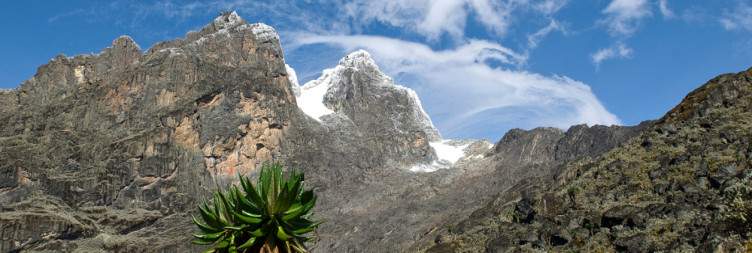 From Elena hut (4541 m) – Punta Margherita