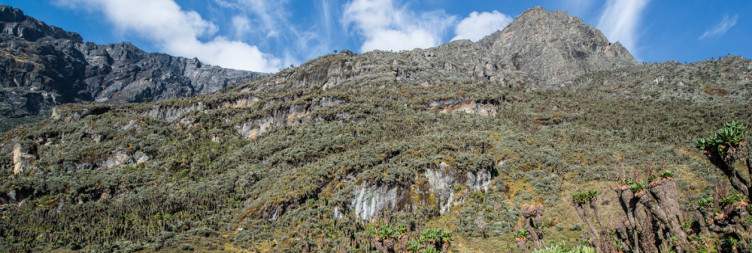 Mihunga gate1615m to Nyabitaba 2651m