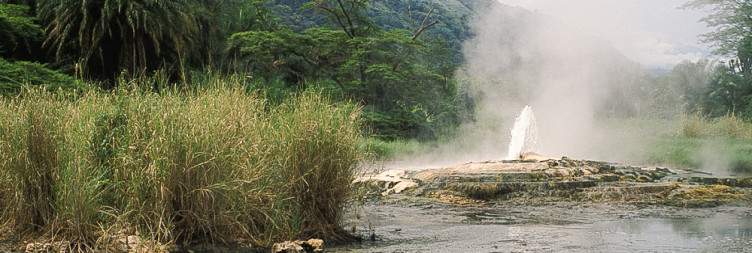 Visit the Semuliki National Park and Amabere Ganyina Mwiru