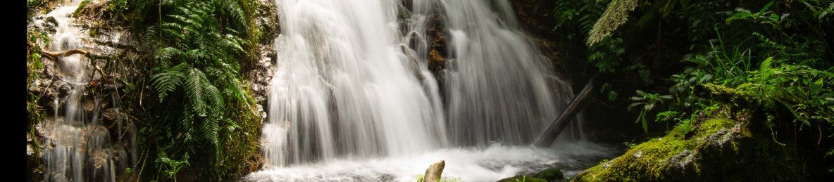 10-Day Uganda Highlights