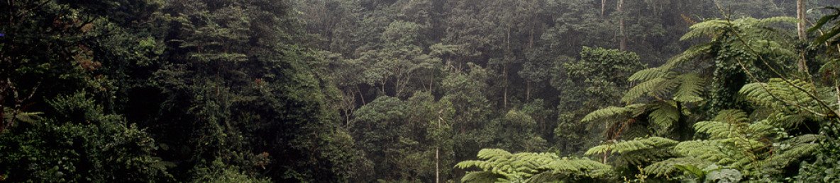 12-Day Uganda Gorilla Budget Safari