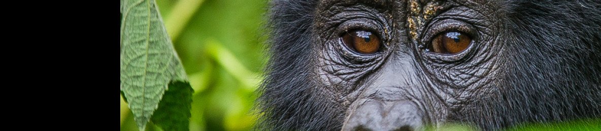 6-Day Pure Primate Expedition