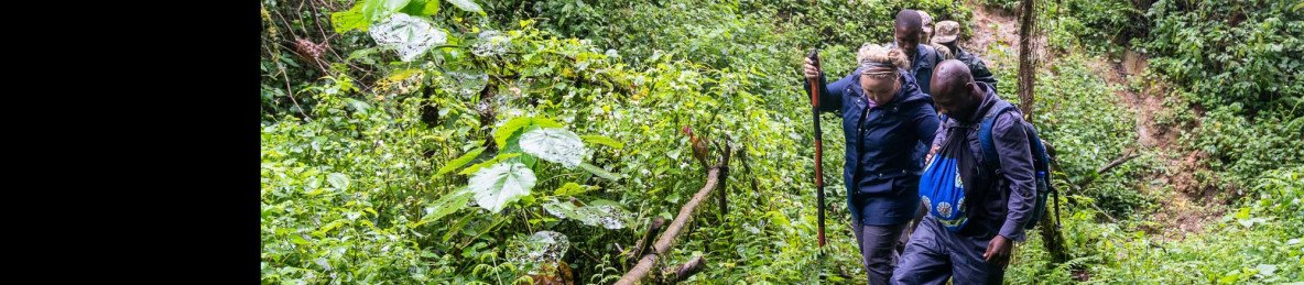 5-Day Bwindi NP and Queen Elizabeth National Park