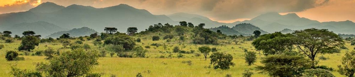 3-Day Fly in Safari to Kidepo Valley