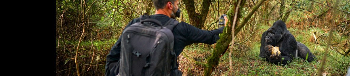 4-Day Uganda Gorillas, Chimps & Punishment Island Safari