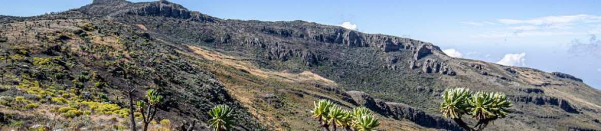 5-Day Mount Elgon Hiking Experience