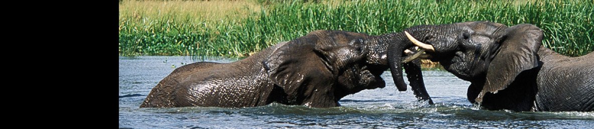 3-Day Midrange Wildlife Game Safari Murchison Falls NP