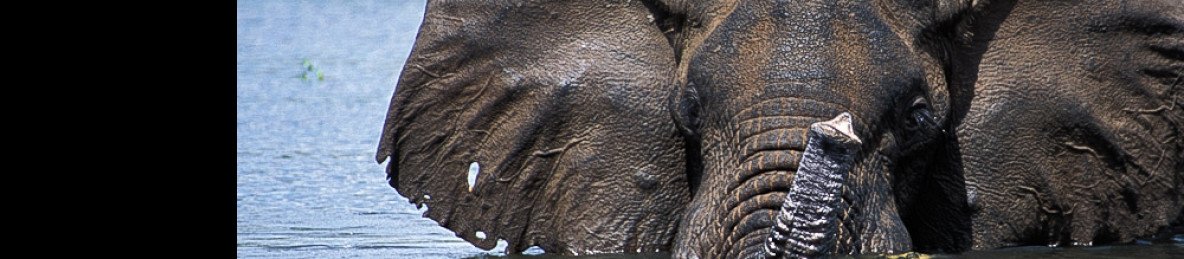3-Day Murchison Falls Big 5 and Chimpanzee Safari