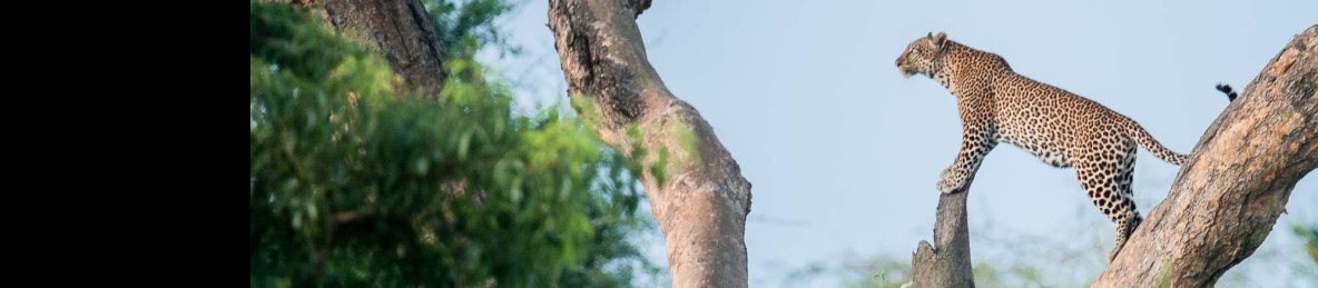 3-Day Murchison Falls Safari- Game Drive+ Boat Cruise