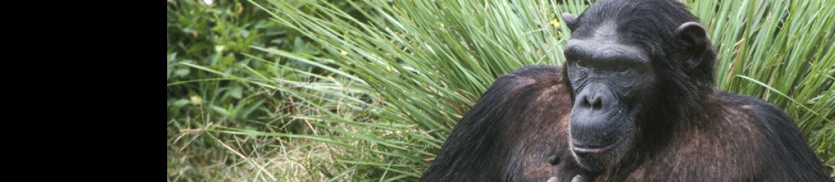 18-Day Luxury Expedition to Kenya, Tanzania, and Uganda