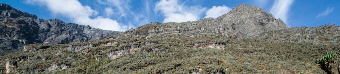 9-Day Mountain Rwenzori Trekking Safari