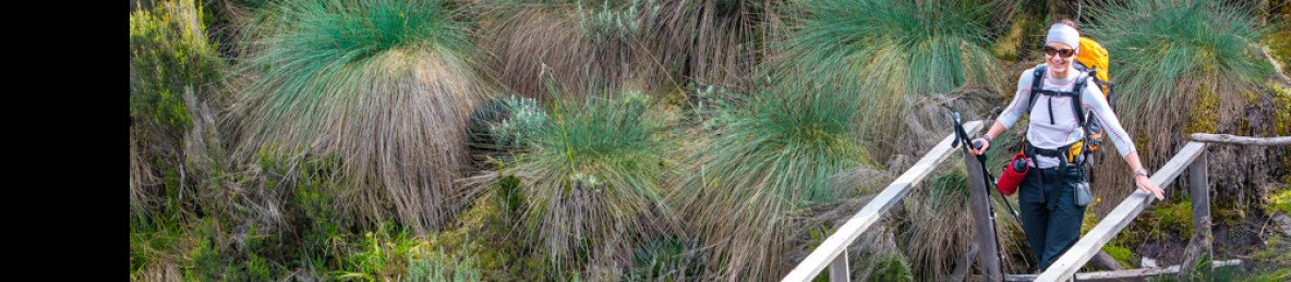 4-Day Queen Elizabeth NP, Rwenzori Trek & Chimpanzee