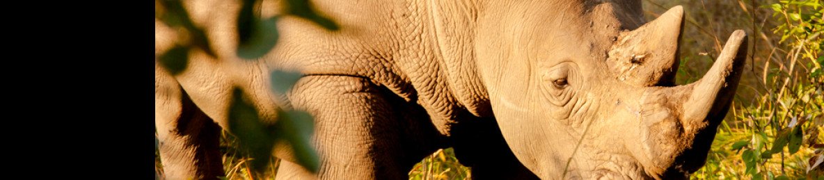 3-Day Explore the Beauty of Murchison Fall National Park