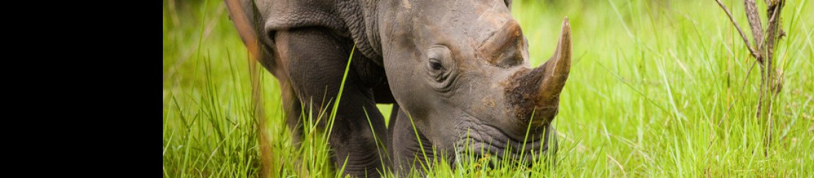 8-Day Uganda's Famous Wilderness Safari