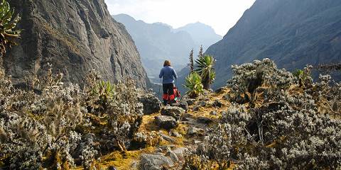 Nyabitaba Hut Budget mountain hut in Rwenzori Mountains (Mountain Range) – All Meals Included
