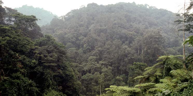 12-Day Uganda Gorilla Budget Safari