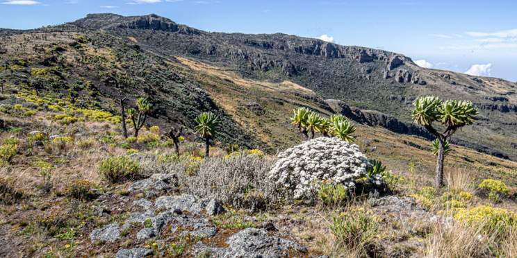 5-Day Mount Elgon Hiking Experience