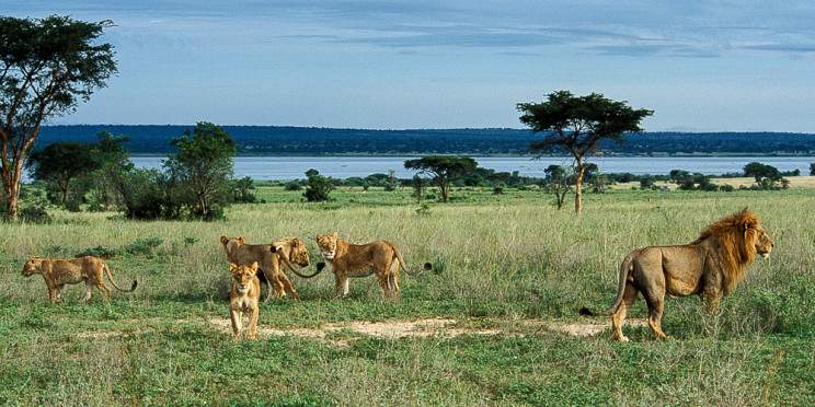 3-Day Murchison Falls Wildlife Safari Experience