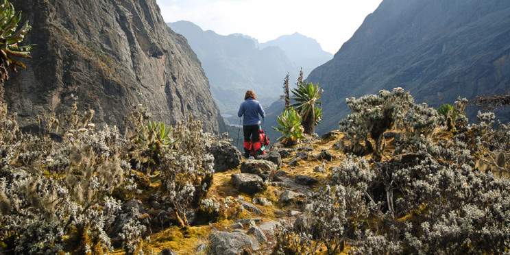 11-Day Rwenzori Mountains Climbing with 3 Peaks Summit