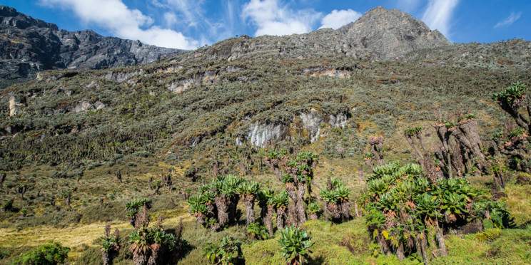 9-Day Mountain Rwenzori Trekking Safari