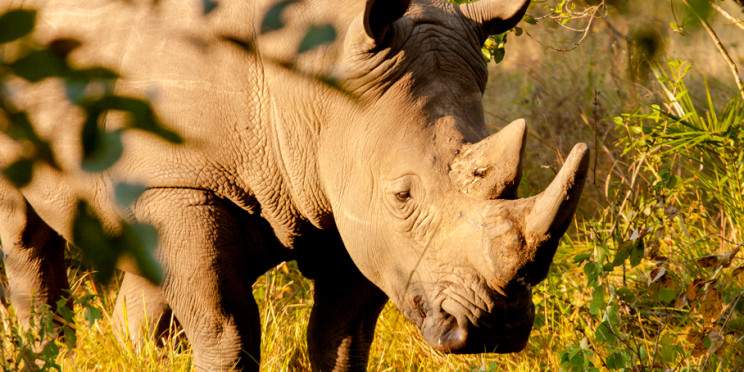 3-Day Explore the Beauty of Murchison Fall National Park