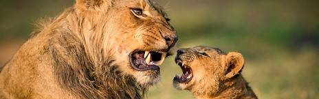 16-Day Zambia off the Beaten Track Safari
