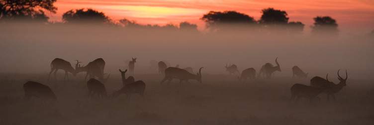 Kafue National Park - Central Area